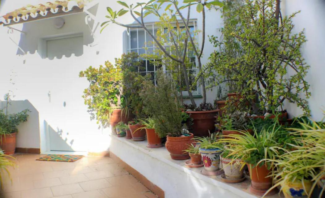 Atico Frente Al Mar - Vistas, Piscina, Terrazas, Parking! Apartman Benalmádena Kültér fotó